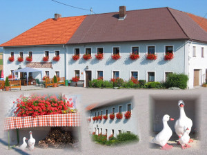 Gasthof Franzosenhof in Wullowitz nähe Freistadt und Tschechien